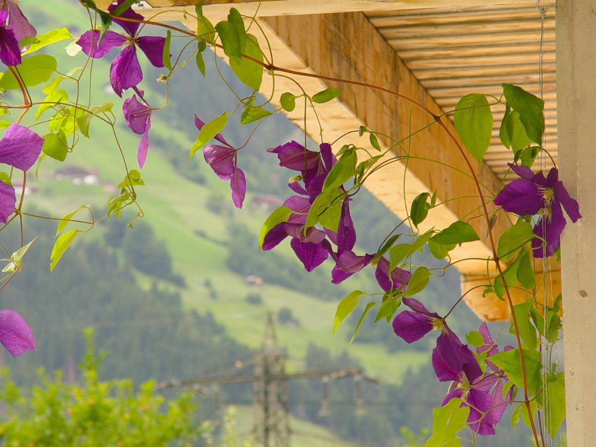 Appartement Birgla Ramsau im Zillertal Bagian luar foto